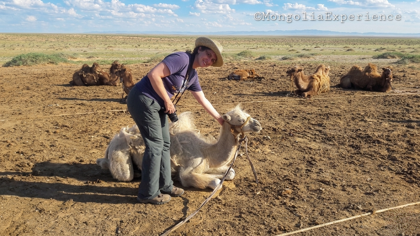 At a camel breeder camp South Gobi