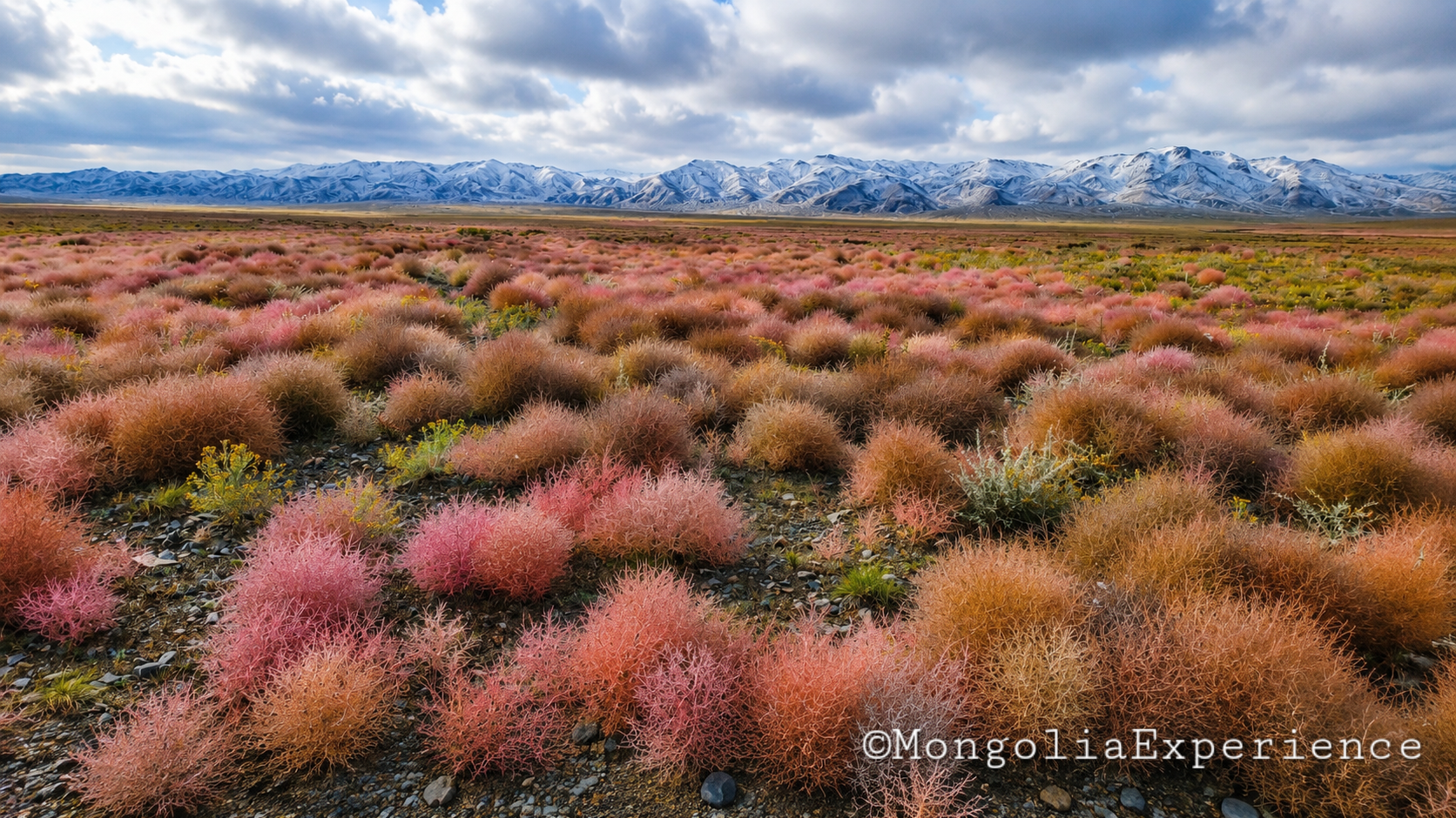 Traveling from Khongor Sand Dunes to the Flaming Cliffs South Gobi