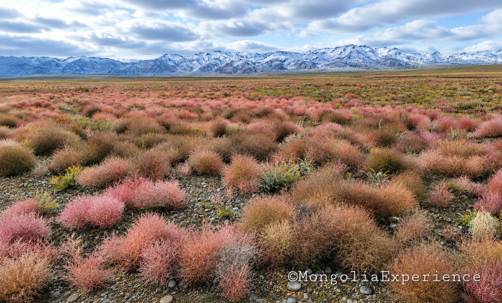 Traveling from Khongor Sand Dunes to the Flaming Cliffs South Gobi
