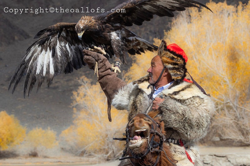 Well Known Eagle Hunter Dalaikhan