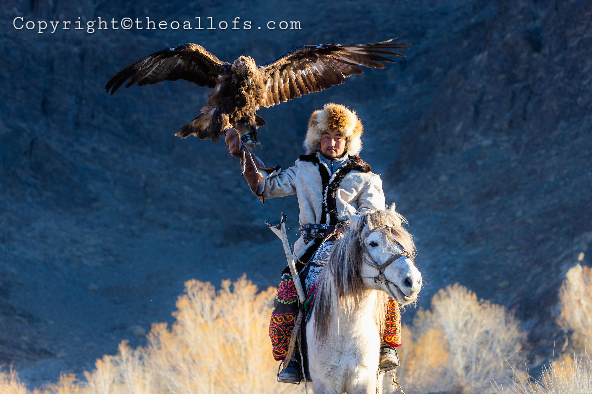 Young Eagle Hunter Bektas