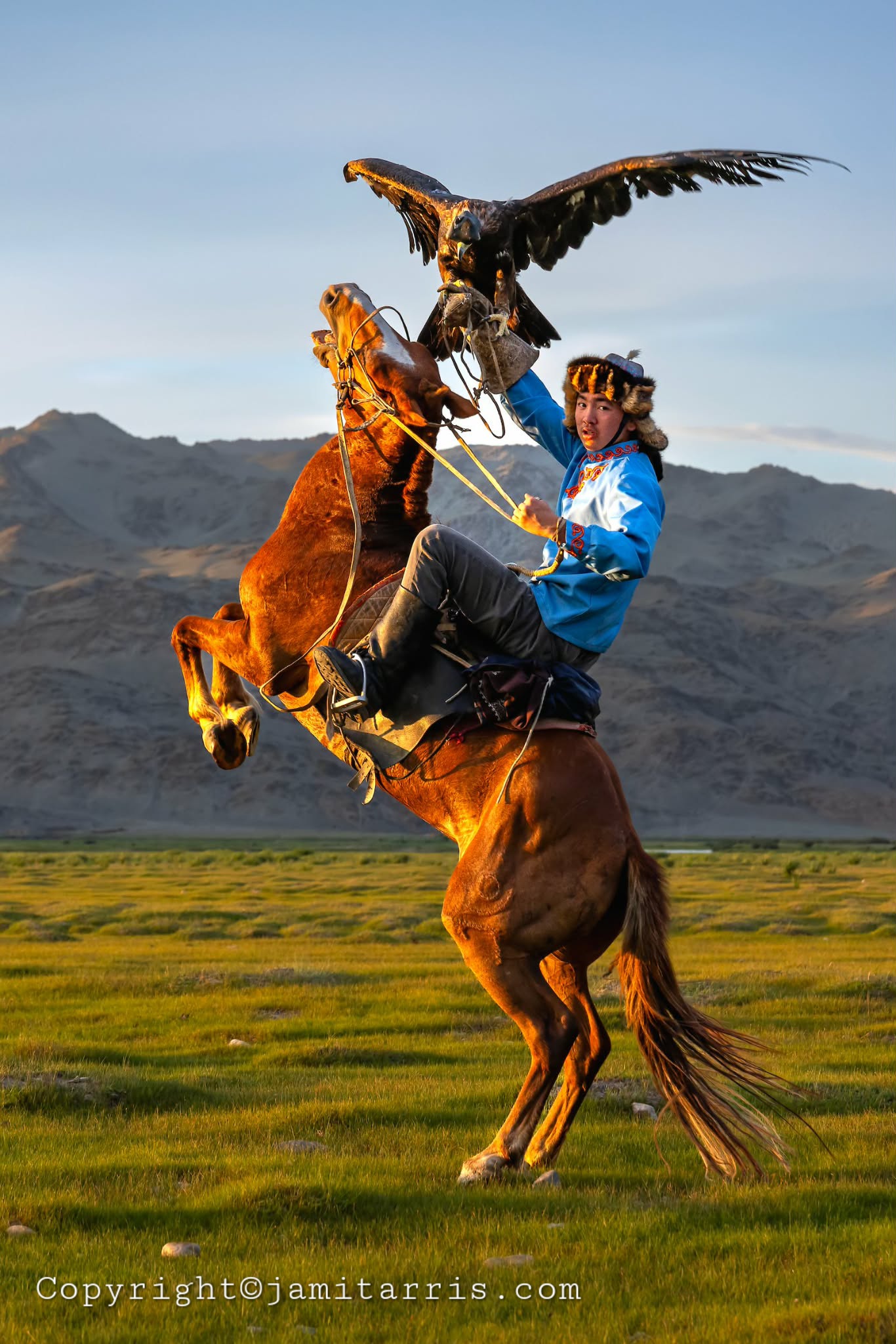 Young Eagle Hunter