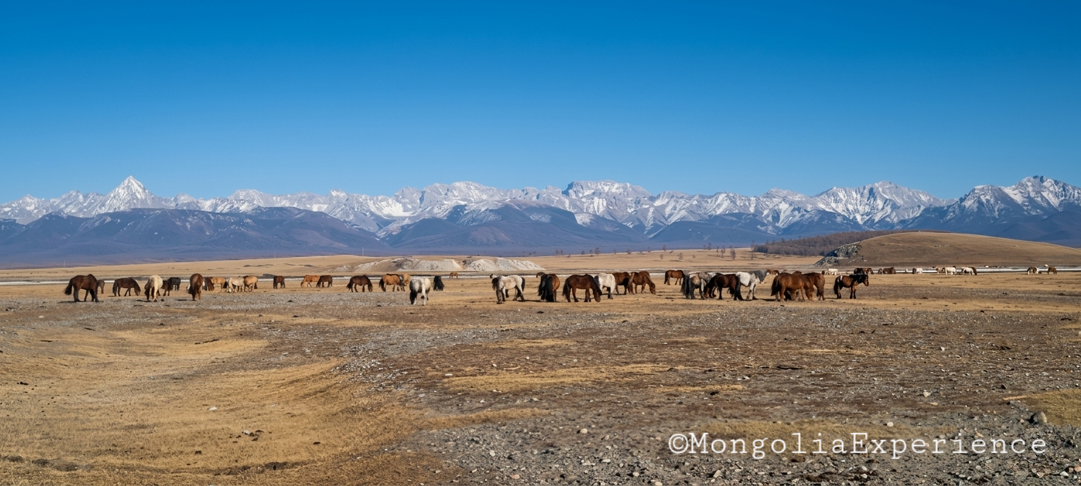 Beauty of the Khoridol Saridag Mountains, Khovsgol
