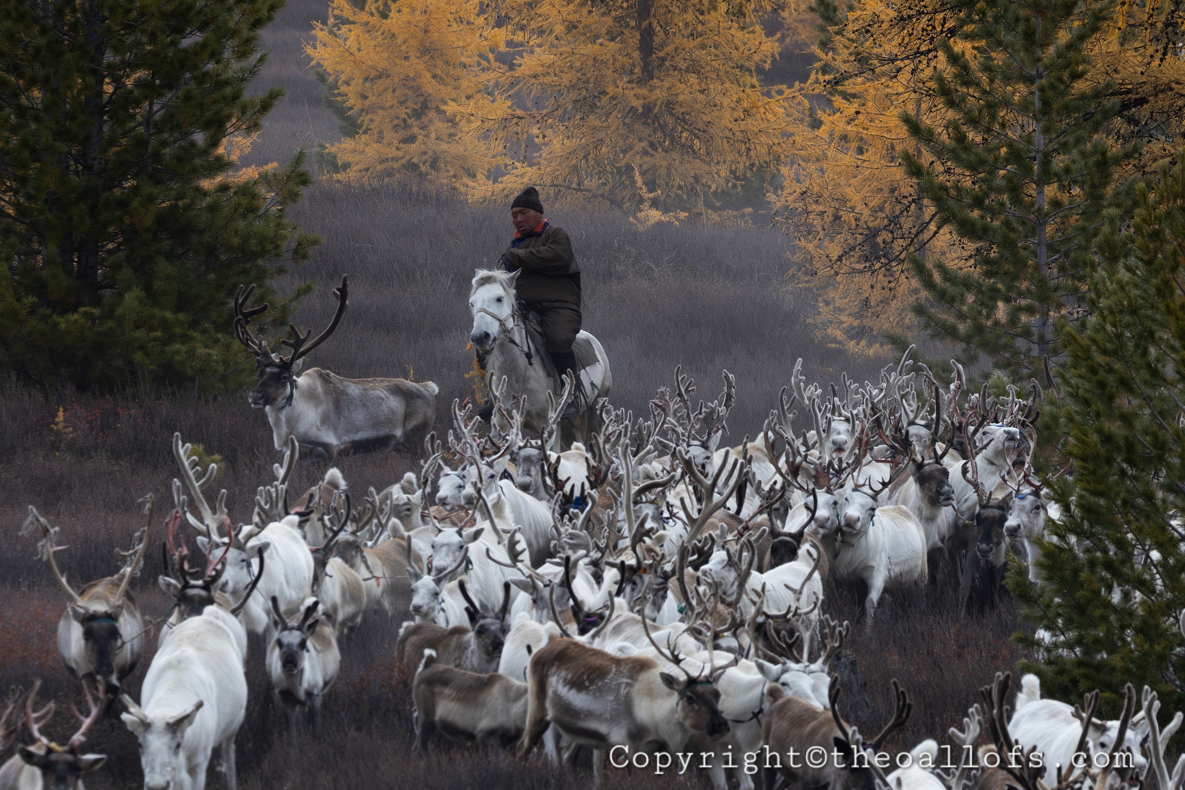 Tsaatan by Theo Allofs